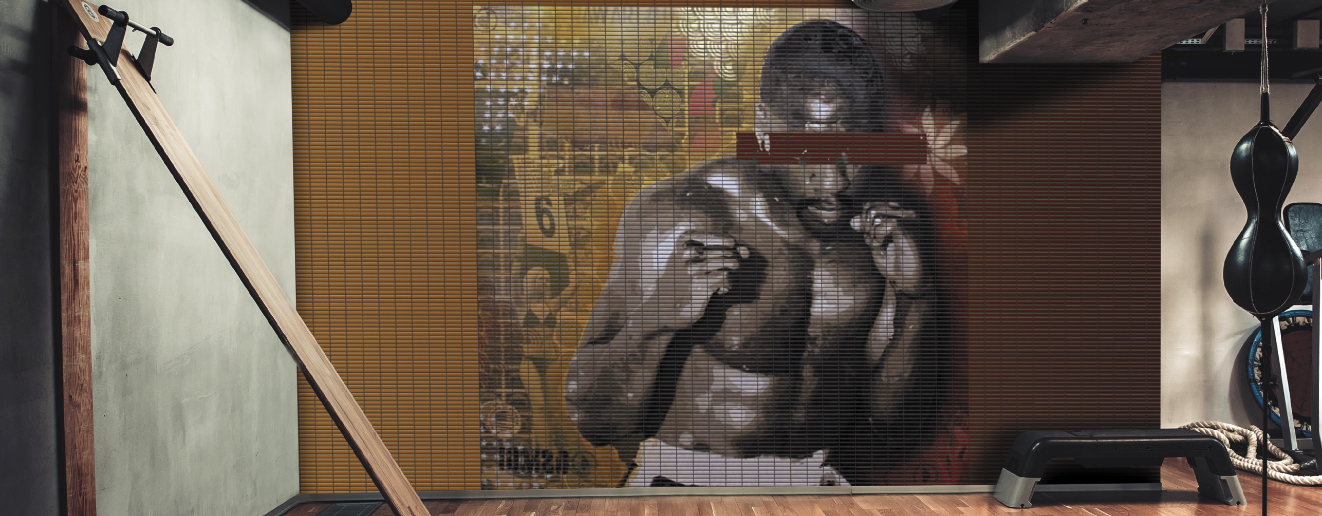 Main image of the collection